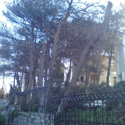 &Kappa;&Omicron;&Pi;&Eta;-&Kappa;&Lambda;&Alpha;&Delta;&Epsilon;&Mu;&Alpha;-&Delta;&Epsilon;&Nu;&Tau;&Rho;&Omega;&Nu;
